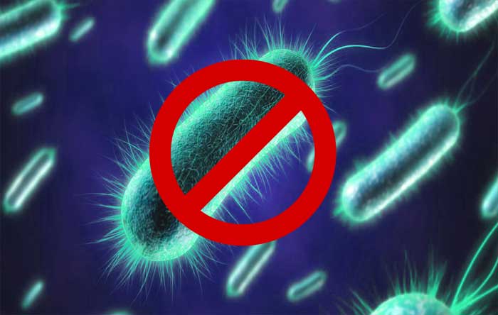 blog باکتری - blog